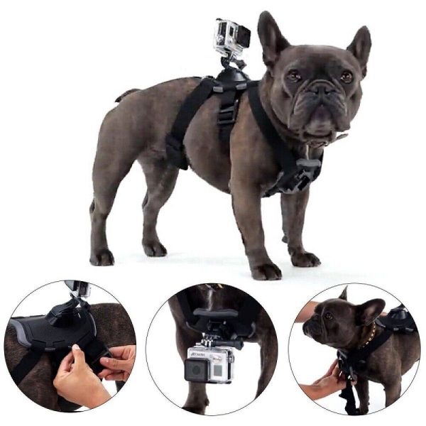 Fetch Dog Harness for GoPro - Plaza Cameras