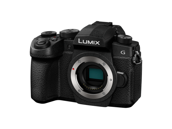 Panasonic Lumix G95 Mirrorless Camera - Plaza Cameras