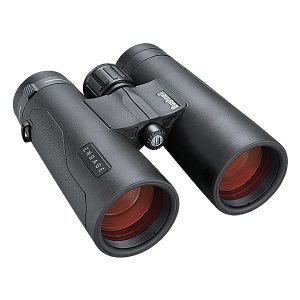 Bushnell 8X42 Engage Black Roof Binoculars - Plaza Cameras